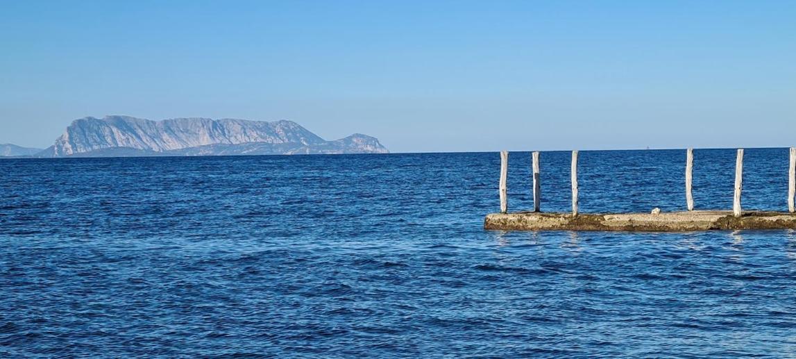 Le Pavoncelle Villa Budoni Eksteriør bilde