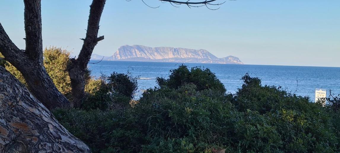 Le Pavoncelle Villa Budoni Eksteriør bilde